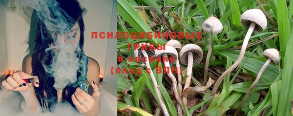 прущий лед Алексеевка